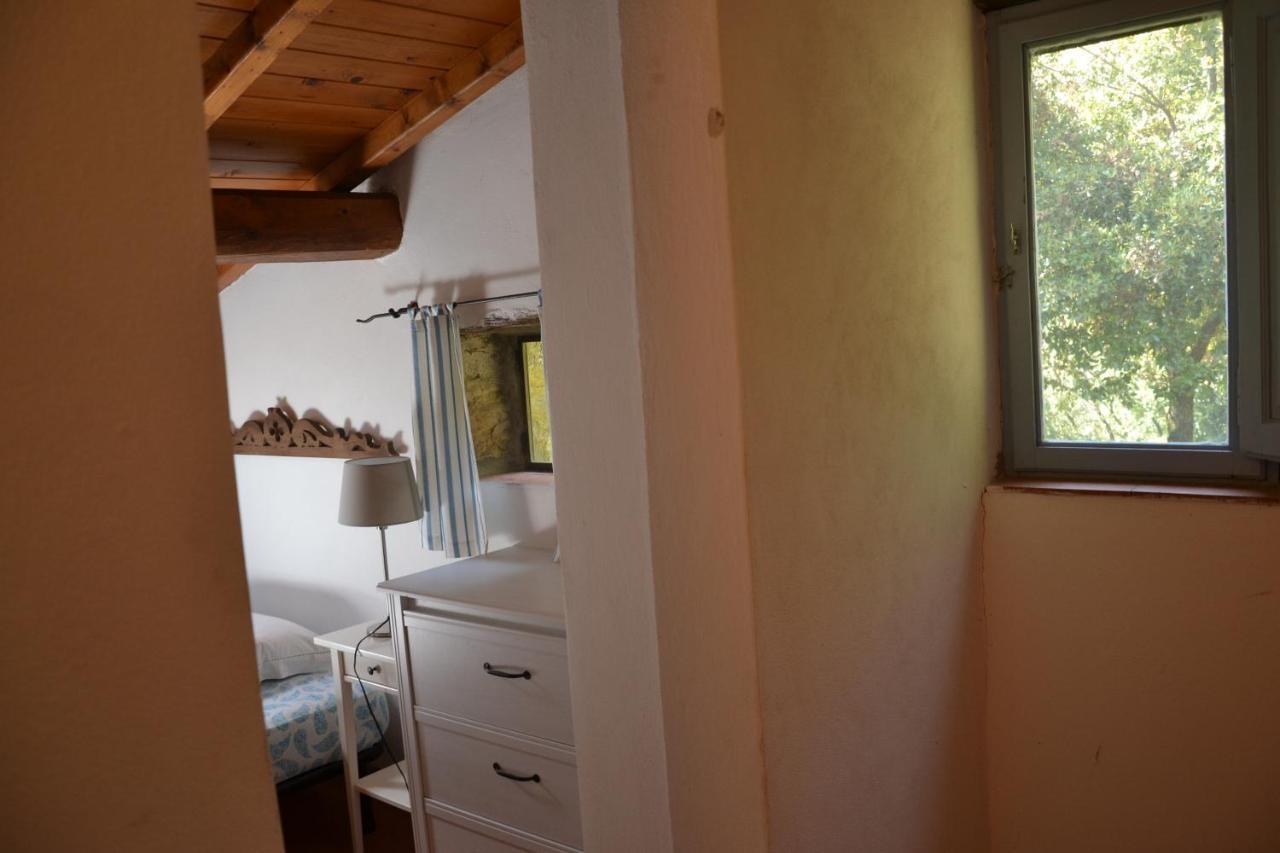 Casa Beatrice Villa Camaiore Exterior photo