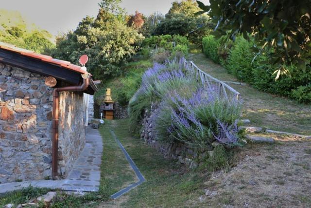 Casa Beatrice Villa Camaiore Exterior photo